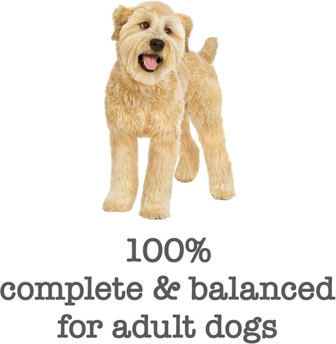Purina Beneful Wet Dog Food, Medleys Romana Style with Chicken in Sauce - (Pack of 12) 3 oz. Cans...