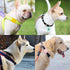 PuppyDoggy 2 Pack Airtag Holder for Collar, Dog Cat Tracker Case, Silicone Airtag Case Waterproof, Scratch-Resistant, Anti-Lost & 1 Pack AirTag Ke...