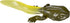 Safari Ltd. Life Cycle of a Frog Figurine Set - Miniature Educational Biology Toy for Boys, Girls, and Kids Ages 4+...