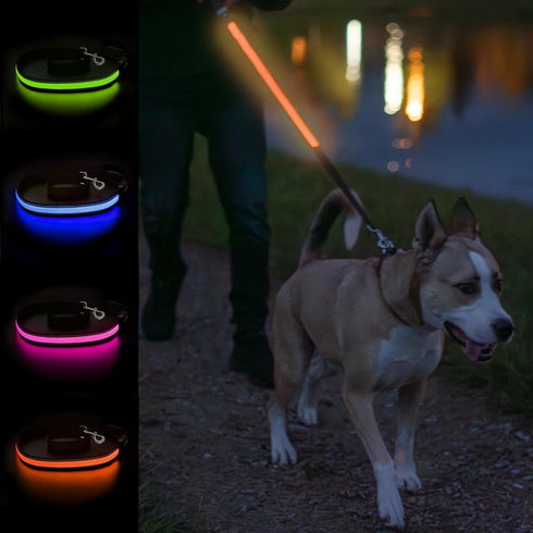 Balk Pets Led Dog Leash – Light Up High Visibility Glow in The Dark - Anti Car Accident - Night Dog Walking - Waterproof - USB Rechargable - 3 Lig...
