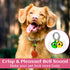 Bells for Dog Collars, 24 Pack Pet Cat Puppy Dog Bells for Collar Metal Jingle Bells Loose Beads Festival Party Decoration Charm Training Pet Pend...