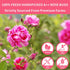 Dried Rose Buds Tea, Edible Roses Whole Flowers Loose Leaf Herbs, Premium Rose Herbal Beverages, Natural Healthy Fragrant, Ideal for Gift, 2.8 oz...