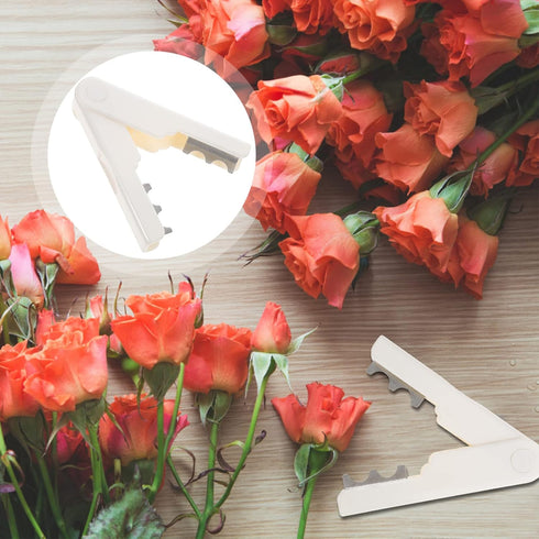 Rose 2pcs Leaf Thorn Stripper Tool Roses Thorn Remover Professional Tree Pruner Hand Tools DIY Bouquet Garden Florist Tool for Gardening Flower Ar...
