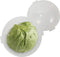 Trenton Gifts Lettuce And Vegatable Storage Keeper | 7" X 8"...