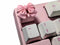 Bow-Ties Keycap 1pcs,Cute Keyboard Keycaps Custom OEM R4 Profile ESC-Key Keyboard Keycap for Cherry MX Switches Mechanical Gaming Keyboard(1pcs)...