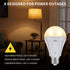 Rechargeable Light Bulbs with Remote Control, 2200mAh Battery Emergency Light Bulb for Power Outage and Camping Outdoor with Remote Control, Dimma...