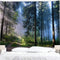 BJYHIYH Misty Forest Tapestry Wall Hanging Nature Landscape Tapestry Sunshine Through Tree Tapestries for Bedroom Living Room Dorm Decor(90.6"×59....