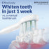 Brushmo Whitening Replacement Toothbrush Heads, Compatible with Philips Sonicare Click-on Electric Toothbrush Handles, 8 Standard Heads, Medium Fi...