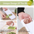 5 in 1 Mandoline Slicer Vegetable Slicer Mandolin Multi Blade Potato Veggie Slicer Vegetable Cutter Julienne Shredder Potato Slicer Green...