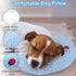 Mity rain Dog Pillow, Anxiety Relief Pillow for Dog, Ultra Soft High Density Calming Pillow for Joint Relief Sleeping Improve, Pet Calming Toy...
