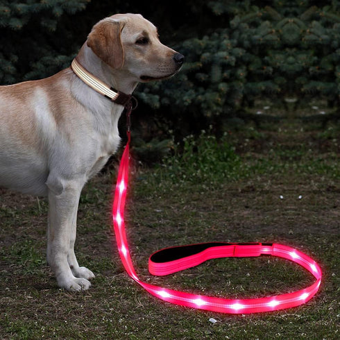 BSEEN LED Dog Leash - USB Rechargeable Light Up Dog Leash - Glowing Pet Leash - LED Dog Lead for Nighttime Dog Walking (Pink?, 47 Inch)...