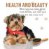 KylePet Dog Brush, Double Sided Pet Slicker Brush with Bamboo Handle for Dogs and Cats Long Hair Pets Grooming Comb for Removing Shedding, Tangles...