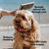 DOG by Dr Lisa - Slicker Brush - Short Bristle Brush for Dogs - For Most Dog Coats - Made from Sustainable Bamboo - Vet-Created - Large...