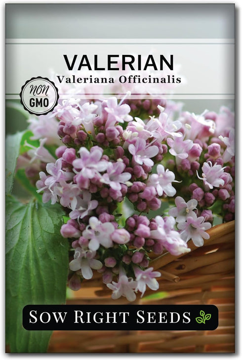 Sow Right Seeds - Valerian Seeds for Planting - Non-GMO Heirloom Packet with Instructions to Plant an Outdoor Herb Garden - Fragrant with Medicina...