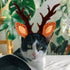 Beaupretty Christmas Hat for Cat Pet Deer Costume Hat Dog Reindeer Costume Elastic Band Adjustable Antler Headband Cat Costume Cat Christmas Antle...