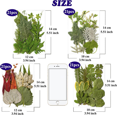 LUCISKY 84 Pcs Dried Leaves Pressed Flowers for Resin Molds, Real Natural Assorted Dry Greenery for Leaf Craft DIY, Jewelry Making, Decoration Sup...