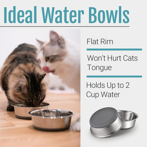 PEGGY11 Stainless Steel Metal Cat Bowls, Nonslip Rubber Bottom, Dishwasher Safe, Easy to Clean - 2 Pack, Each Holds 2 US Cup...