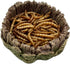 Small Reptile Food Bowl Water Dish, 2 Pack Reptile Feeding Food Bowls for Bearded Dragon Gecko Lizard Frog Hermit Crab Snail Toad...
