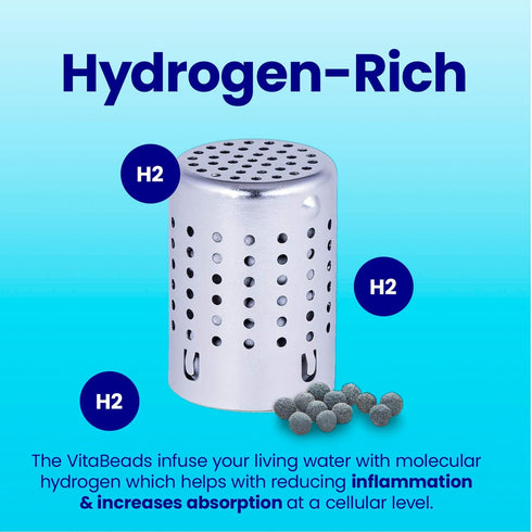 DYLN VitaBead Diffuser | Creates Hydrogen-Rich, pH 9+ Alkaline Antioxidant Water | Replacement for DYLN Bottle | Natural Mineral Ionized Hydrogen ...