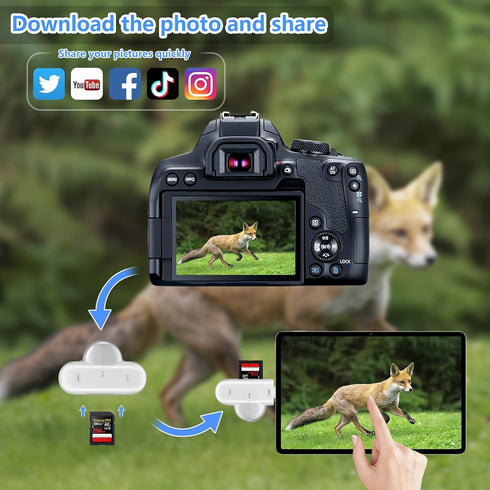 SD Card Reader for iPhone ipad Android Mac Computer Camera, 3-in-1 USB-C to Micro SD Card Reader Trail Camera Viewer,Portable Memory Card Reader S...