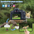 SD Card Reader for iPhone ipad Android Mac Computer Camera, 3-in-1 USB-C to Micro SD Card Reader Trail Camera Viewer,Portable Memory Card Reader S...