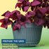 Wall Hanging Planters Railing Hanging Planters, 2PCS Plastic Plants Pot Wall Mounted Hanging Basket Fence Flower Pots Plants Container with Hooks ...