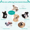 Dog Finger Toothbrush for Pet: 10pcs Puppy Teeth Brushing Kit - Doggie Dental Cleaning Fingertip Fingerbrush...