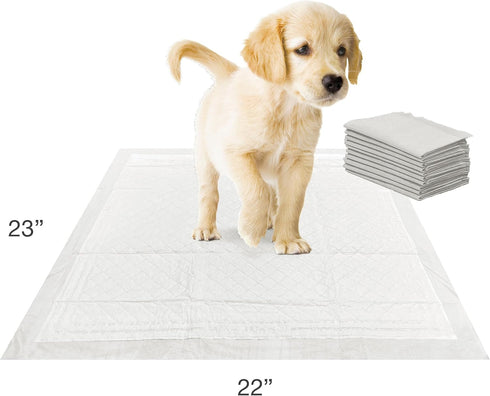 Four Paws Wee-Wee Super Absorbent Pee Pads for Dogs with Insta-Rise Border, Leak-Proof Floor Protection Dog & Puppy Quilted Potty Training Pads, U...