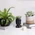 T4U Face Planter Pot, Unique Plant Pots for Indoor Plants, Head Planter, Ceramic Cool Plant Pots, Succulent Pots with Drainage Hole, Cactus Pot, P...