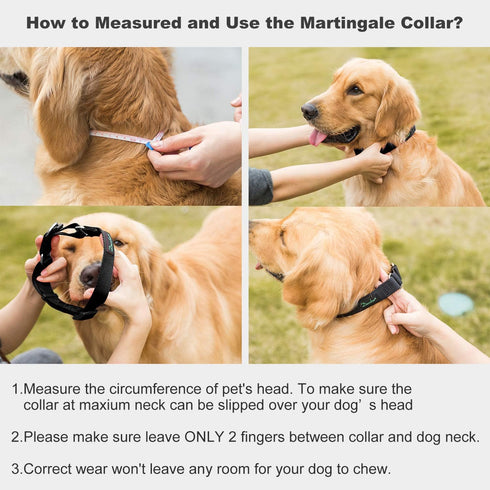 Martingale Collar Nylon Dog Collar - Dazzber No Pull Pet Collar Heavy Duty for Large Dogs, Adjustable 17 Inch to 25 Inch, Classic Black...
