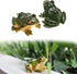 SING F LTD 2pcs Resin Frog Statue Animal Sculpture Indoor Outdoor Decor for Garden Patio Yard Micro Fairy Garden Ornaments and Flower Pots...