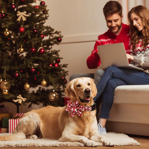 Christmas Dog Collar with Flower, Christmas Pet Collars Snowflake Dog Collar Stylish Adjustable Red Green Christmas Collars for Dogs(S)...