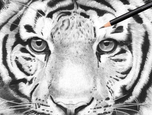 Professional Drawing Sketching Art Pencils Set - 12 Graphite Drawing Pencils for Sketch Art and Shading 8B, 6B, 4B, 3B, 2B, B, HB, F, H, 2H, 4H, 6...