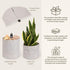 Bigso Box of Sweden Soft Hang Around Hanging Storage Basket Small | For Organizing Everyday Necessities | Collapsible Wall Hanging Storage Basket ...