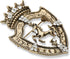 Vintage Golden Tone Queen Crown Pin Brooch Crystal Horse Racing Chapter Badge...
