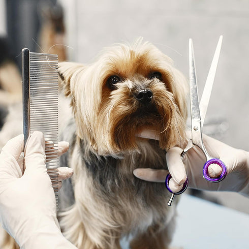 12 PCS Scissors Finger Rings Soft Silicone Scissors for Pet Grooming Scissors Accessories for Animal Hair Cutting Thumb Inserts Finger Protector R...