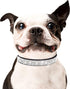 Bling Dog Collar for Small Medium Large Dogs, Rhinestone Dog Collars for Girl and boy Dog, Diamond Puppy Collars, Adjustable Leather Suede SOFE Ca...