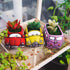 Cute Succulent Plants Pots, Small Planter Pots with Drainage Hole, Flower Pots for Home Indoor Outdoor Garden Decoration (Purple Bus)...