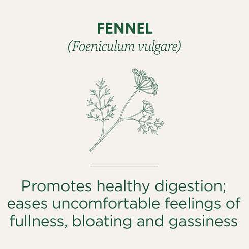 Traditional Medicinals Organic Fennel Tea, 16 Count...