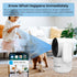 Indoor Camera for Home Security 360°, 1080p Pet Cameras with Pan&Tilt, Night Vision, Motion Detection, 2-Way Audio, Compatible with Alexa/Google A...