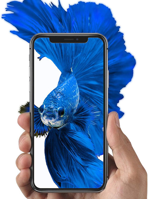 Shockproof Crystal Slim Protective Phone Cover Cases for Wiko Voix/Wiko U616AT (6.5 inches),Waterproof Case with 1 Tempered Glass Screen Protector...