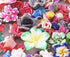 ALLinONE Mixed Size and Style Fimo Polymer Clay Flower for DIY Craft (100)...