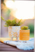 Karma, Footed Ceramic Planter Set of 2, Modern Boho Planters, Ceramic Footed Planters, Hello Sunshine...