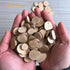 Wood Slices Tiny Log Slices Unfinished Natural 100pcs Kids Crafts Painting Toys DIY Wedding Home Centerpieces 1.5-2.5cm...