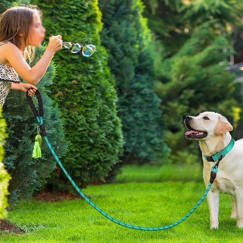 Dynmeow Reflective Dog Collar and Leash Set, 6FT Strong Climbing Rope Leash with Padded Handle, Adjustable Pet Collar with Soft Neoprene Padding f...