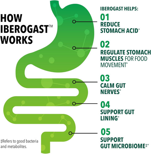 Iberogast Dual Action Digestive Relief, Daily Herbal Supplement, Supports Gut Health* Helps: Relieve Occasional Upset Stomach(bloating relief, nau...