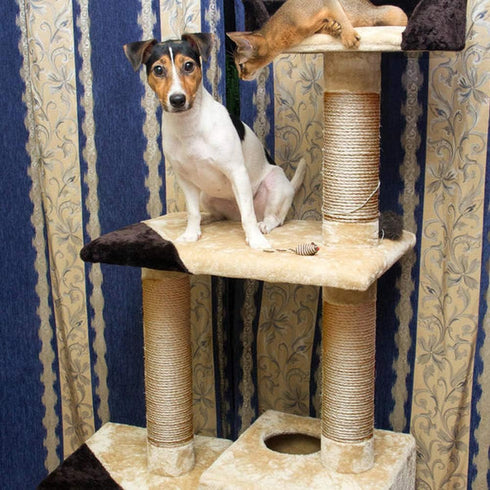Sisal Rope 6mm for Cat Scratcher Repair and Replace Cat Scratching Post, DIY Scratching Furniture - Cat Tree, Scratch Carpet & Mat, Cat Kicker Toy...