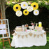 CHRORINE Sunflower Party Decorations, Sunflower Birthday Party Baby Shower Bridal Shower Wedding Decorations, Baby Shower Birthday Party Supplies...