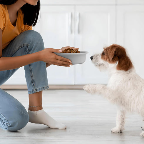 Coomazy Slow Feeder Dog Bowls Specially Designed for Small Breed Dogs French Bulldogs, Beagle, Dachshund, Schnauzer, Grey...
