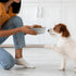Coomazy Slow Feeder Dog Bowls Specially Designed for Small Breed Dogs French Bulldogs, Beagle, Dachshund, Schnauzer, Grey...